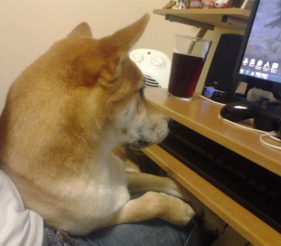 塞内加尔男足在巴黎奥运会上展现出强大的团队协作能力,塞内加尔足球运动员