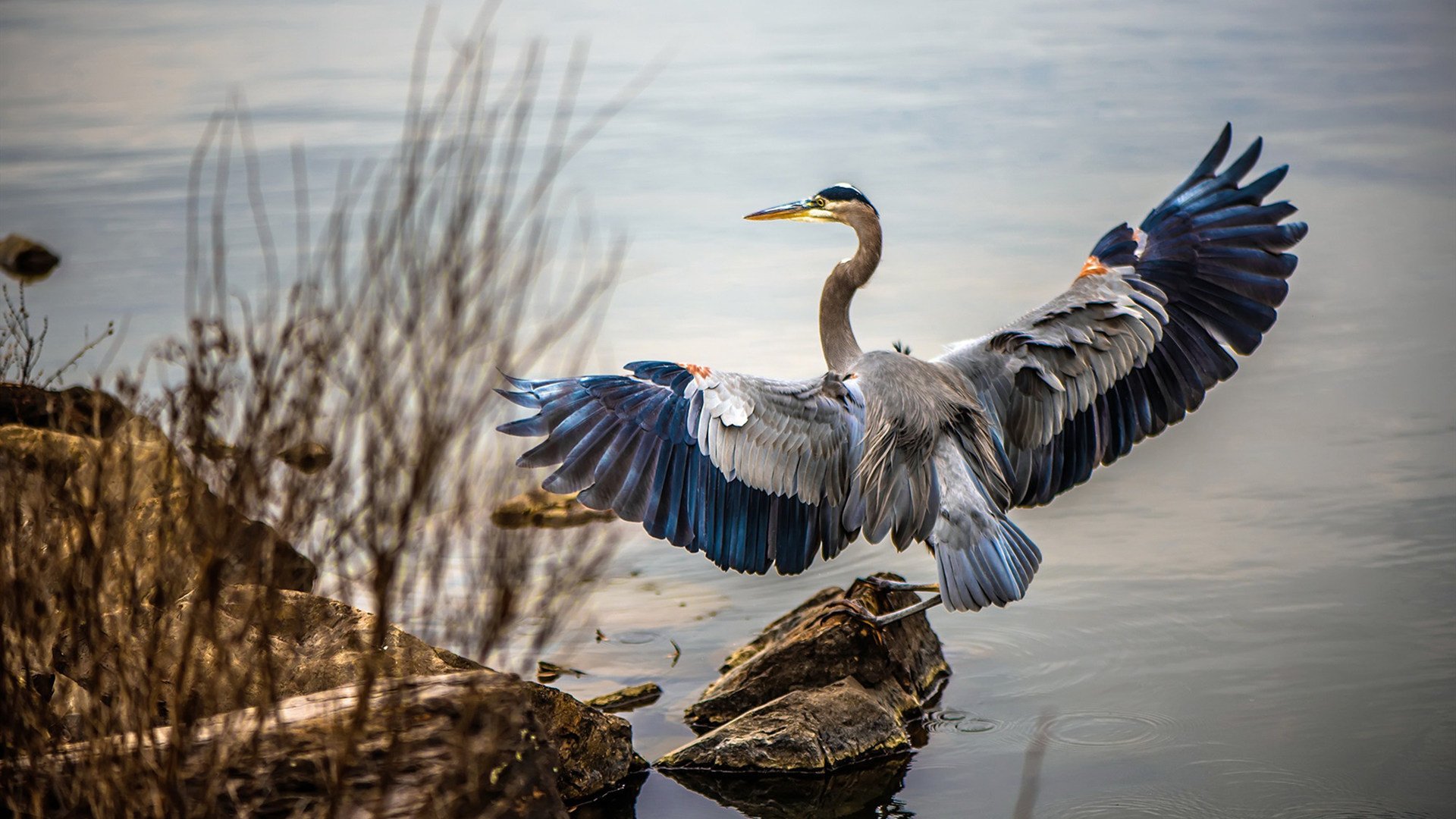 开云官方网站-冰雪加持！瑞士队打出“雪地精准控球”，瑞士滑雪队