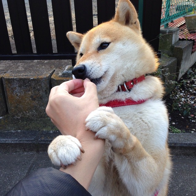 台风过后海边冲浪赛,迎风破浪展英姿,台风即将过去 海面少了波浪